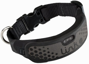 Link-AKC-Smart-Dog-Collar-Review