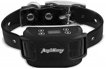 AngelaKerry-Wireless-Dog-Fence-System-With-GPS-Review