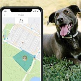 Best 10 Dog GPS Tracker Collars For Your Dog In 2022 Reviews