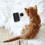 Best-5-Cat-GPS-Location-Pet-Trackers-For-Sale-In-2020-Reviews