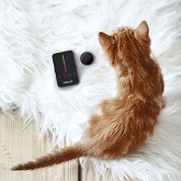 Best 5 Cat GPS Location Pet Tracker For Sale In 2022 Reviews