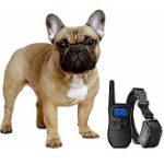 Best-5-GPS-Dog-Training-&-Shock-Collars-To-Get-In-2020-Reviews