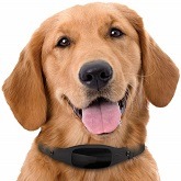 Best 5 GPS Pet Trackers For Dog Or Cat In 2022 Reviews