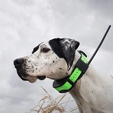 Best 5 Hunting Dog GPS Tracking Systems In 2019 Reviews