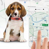 Best 5 Small Dog GPS Tracker Device For Sale In 2022 Reviews