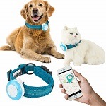 Best-5-Small-GPS-Tracker-For-Cats-(Small-&-Big)-In-2020-Reviews