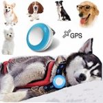 Best-Puppy-GPS-Tracker-Devices-For-Sale-In-2020-Reviews