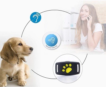 Tractive-GPS-Pet-Tracker-Review
