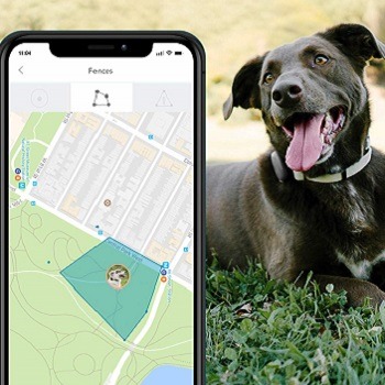 best dog location tracker